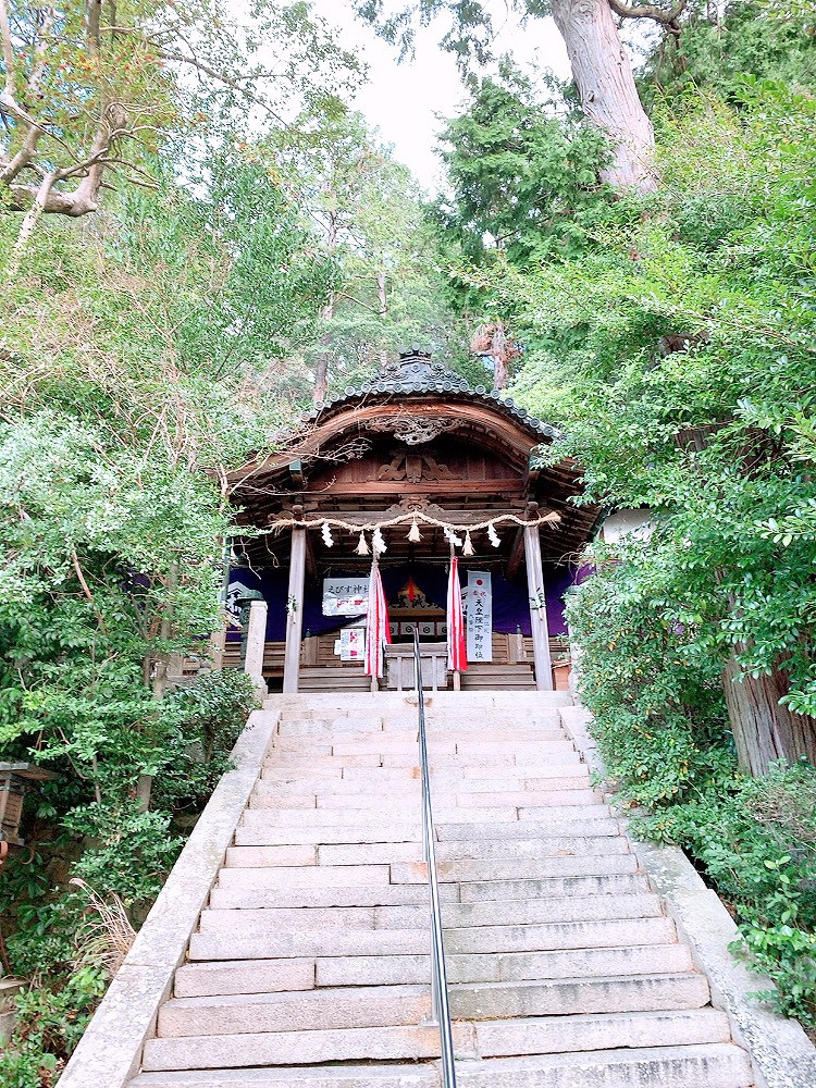 ハーブ専門店　ルイーズ　レヴェ